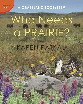 bokomslag Who Needs a Prairie?