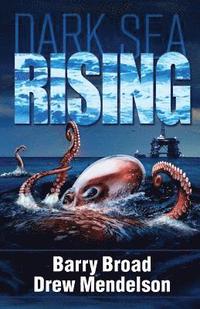 bokomslag Dark Sea Rising
