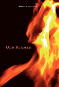 bokomslag Old Flames