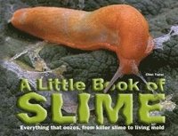 bokomslag A Little Book of Slime: Everything That Oozes, from Killer Slime to Living Mold
