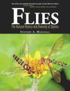 bokomslag Flies: The Natural History and Diversity of Diptera