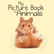 bokomslag My Picture Book of Animals