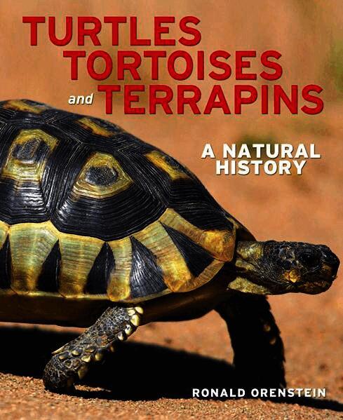 Turtles, Tortoises and Terrapins: A Natural History