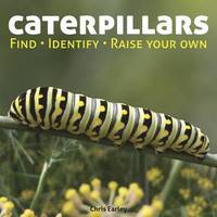 bokomslag Caterpillars