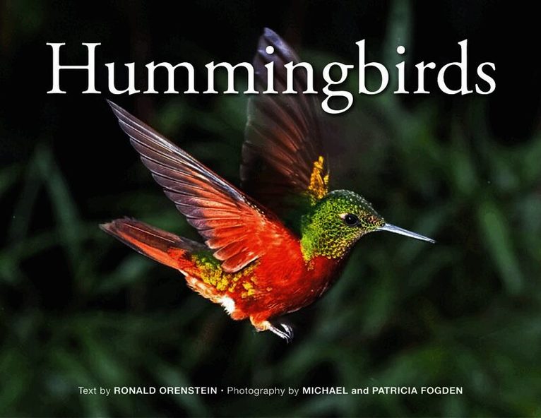 Hummingbirds