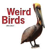 bokomslag Weird Birds