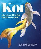 bokomslag Koi: A Complete Guide to Their Care and Color Varieties