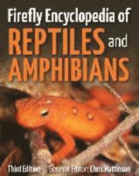 Chris Mattison - Firefly Encyclopedia of Reptiles and Amphibians, Inbunden