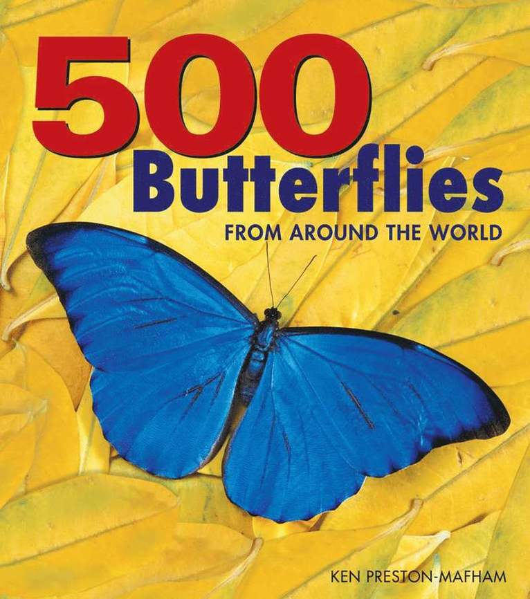 500 Butterflies: From around the World