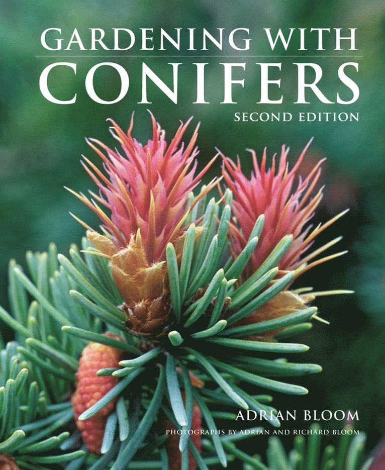 Adrian Bloom - Gardening with Conifers, Häftad