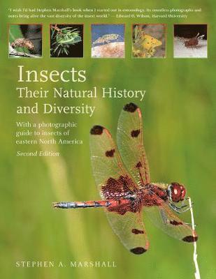 Insects: Their Natural History and Diversity 1