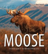 bokomslag Moose