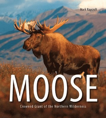 bokomslag Moose