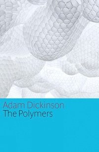 bokomslag The Polymers