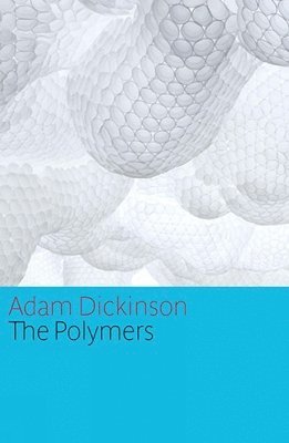 The Polymers 1