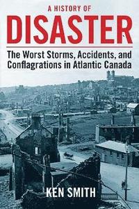 bokomslag History of Disaster