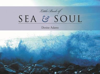 bokomslag The Little Book of Sea & Soul