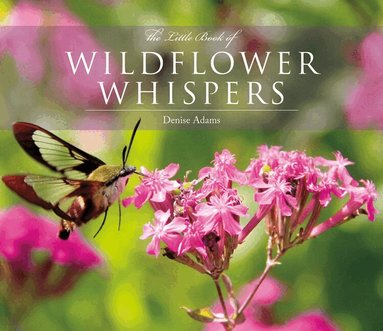 Denise Adams - The Little Book of Wildflower Whispers, Inbunden