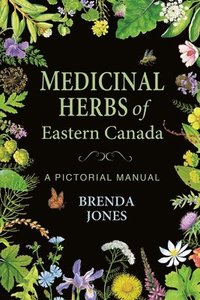 bokomslag Medicinal Herbs of Eastern Canada: A Pictorial Manual