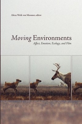 Moving Environments 1