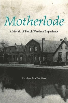 bokomslag Motherlode