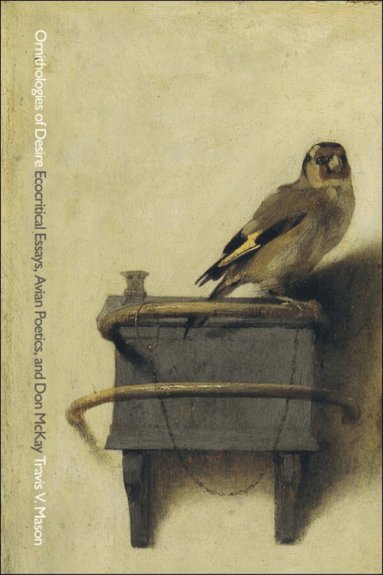 Travis V. Mason - Ornithologies of Desire, Häftad