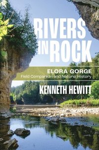 bokomslag Rivers in Rock