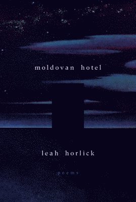 Moldovan Hotel 1