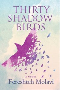 bokomslag Thirty Shadow Birds
