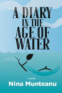 bokomslag A Diary in the Age of Water