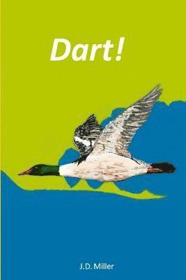 Dart! 1