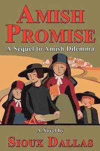 bokomslag Amish Promise