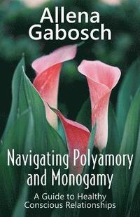 bokomslag Navigating Polyamory and Monogamy