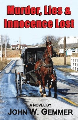 bokomslag Murder, Lies & Innocence Lost