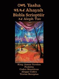 bokomslag Yasha Ahayah Biobla Scrioptuir Aleph Tav (Irish Edition YASAT Study Bible)