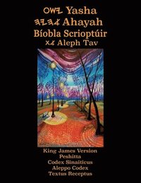 bokomslag Yasha Ahayah Biobla Scrioptuir Aleph Tav (Irish Edition YASAT Study Bible)