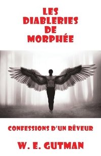 bokomslag Les Diableries de Morphee