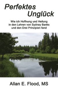 bokomslag Perfektes Unglück