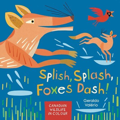 Geraldo Valério - Splish, Splash, Foxes Dash!: Canadian Wildlife in Colour, Inbunden