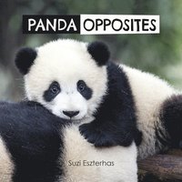 bokomslag Panda Opposites