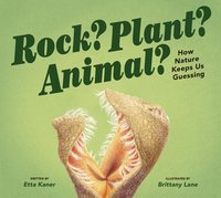 bokomslag Rock? Plant? Animal?: How Nature Keeps Us Guessing