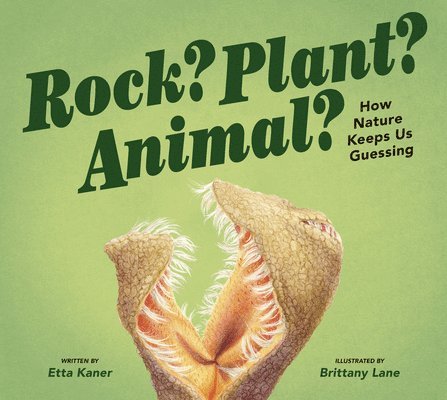 Rock? Plant? Animal?: How Nature Keeps Us Guessing 1