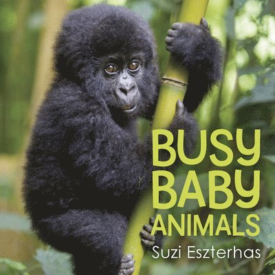 Busy Baby Animals 1