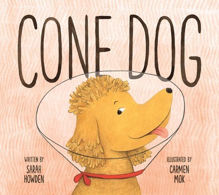 Cone Dog 1