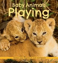 bokomslag Baby Animals Playing