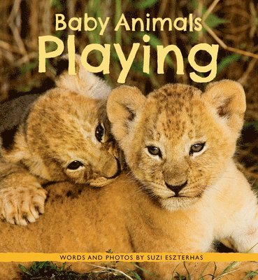 Baby Animals Playing 1