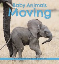 bokomslag Baby Animals Moving