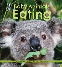 bokomslag Baby Animals Eating