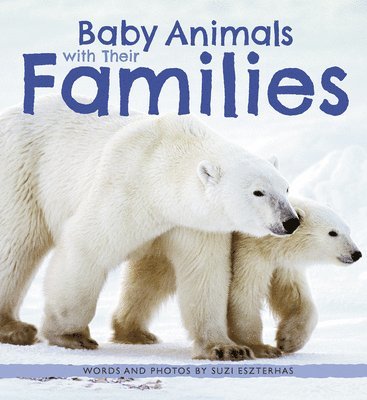 Baby Animals with Their Families 1