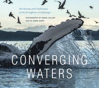 bokomslag Converging Waters